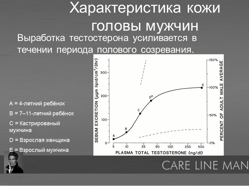 Выработка тестостерона усиливается в течении периода полового созревания.  Характеристика кожи головы мужчин A